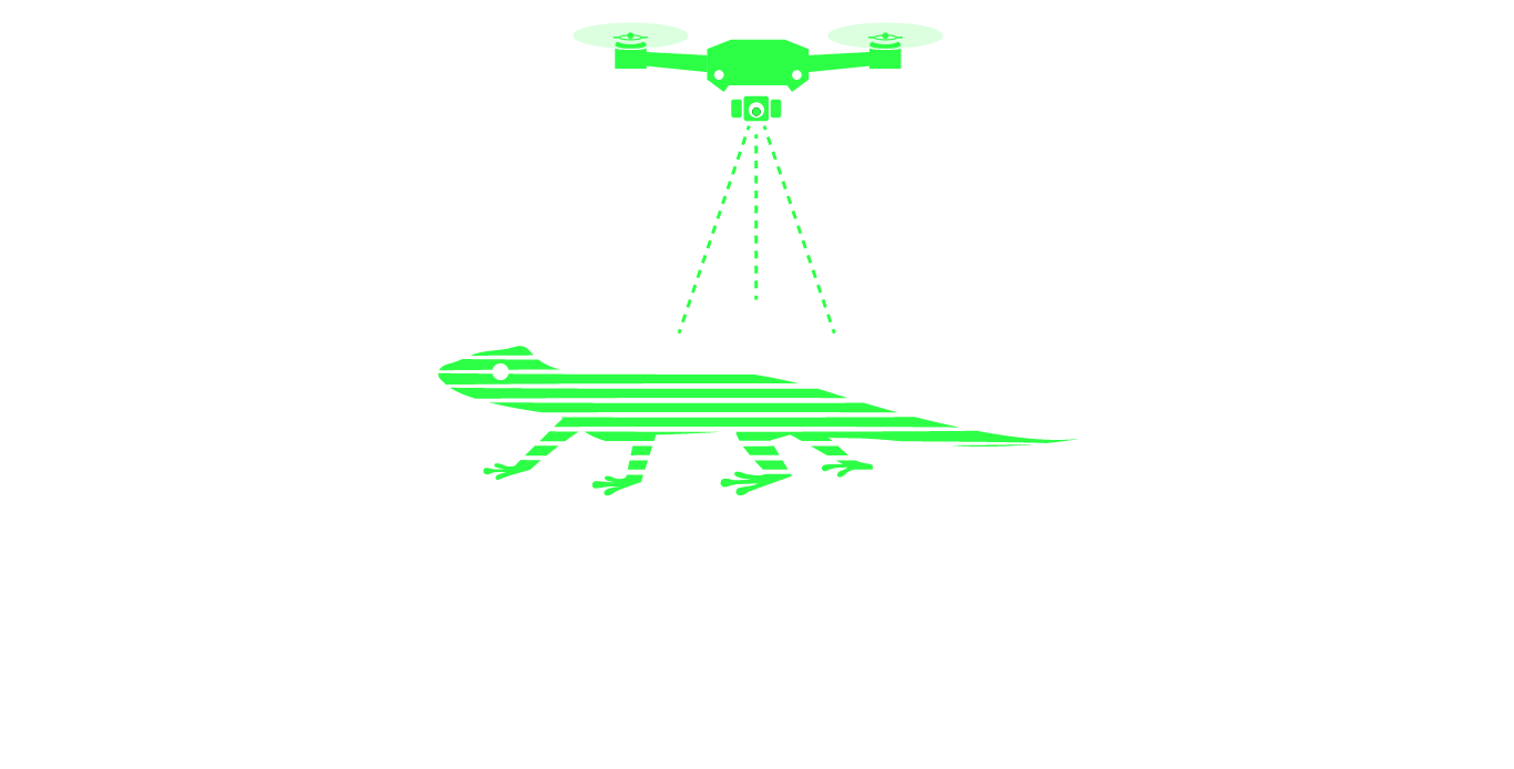 GeckoSpatial AI